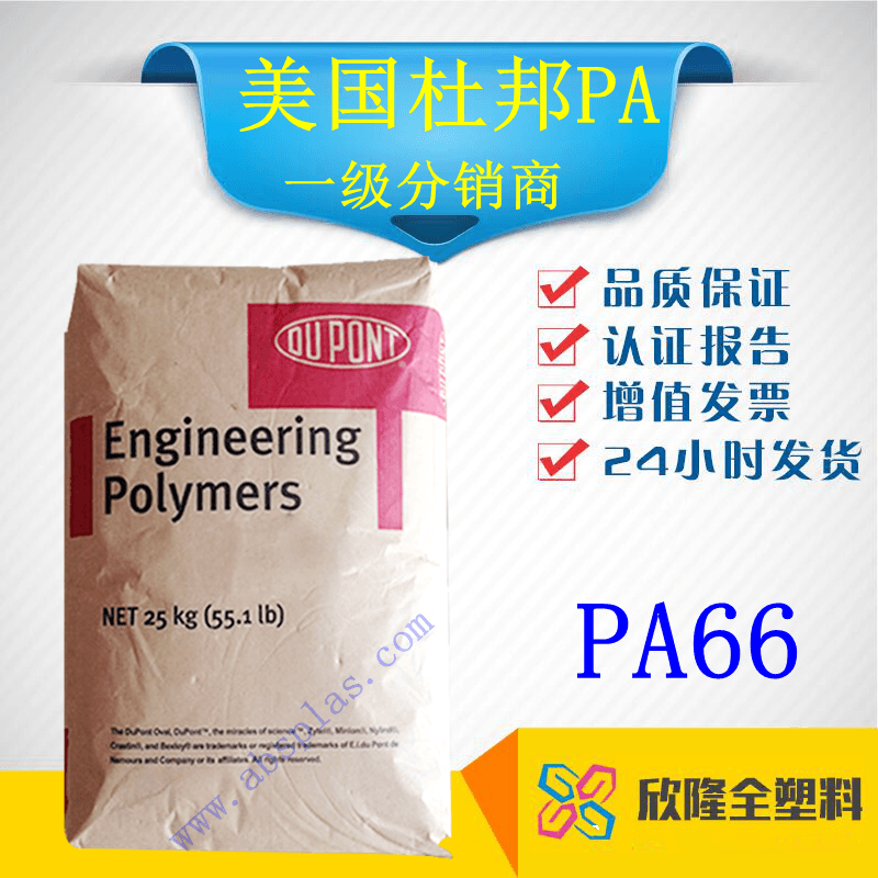 美國杜邦 PA66	3189HSL BKB010